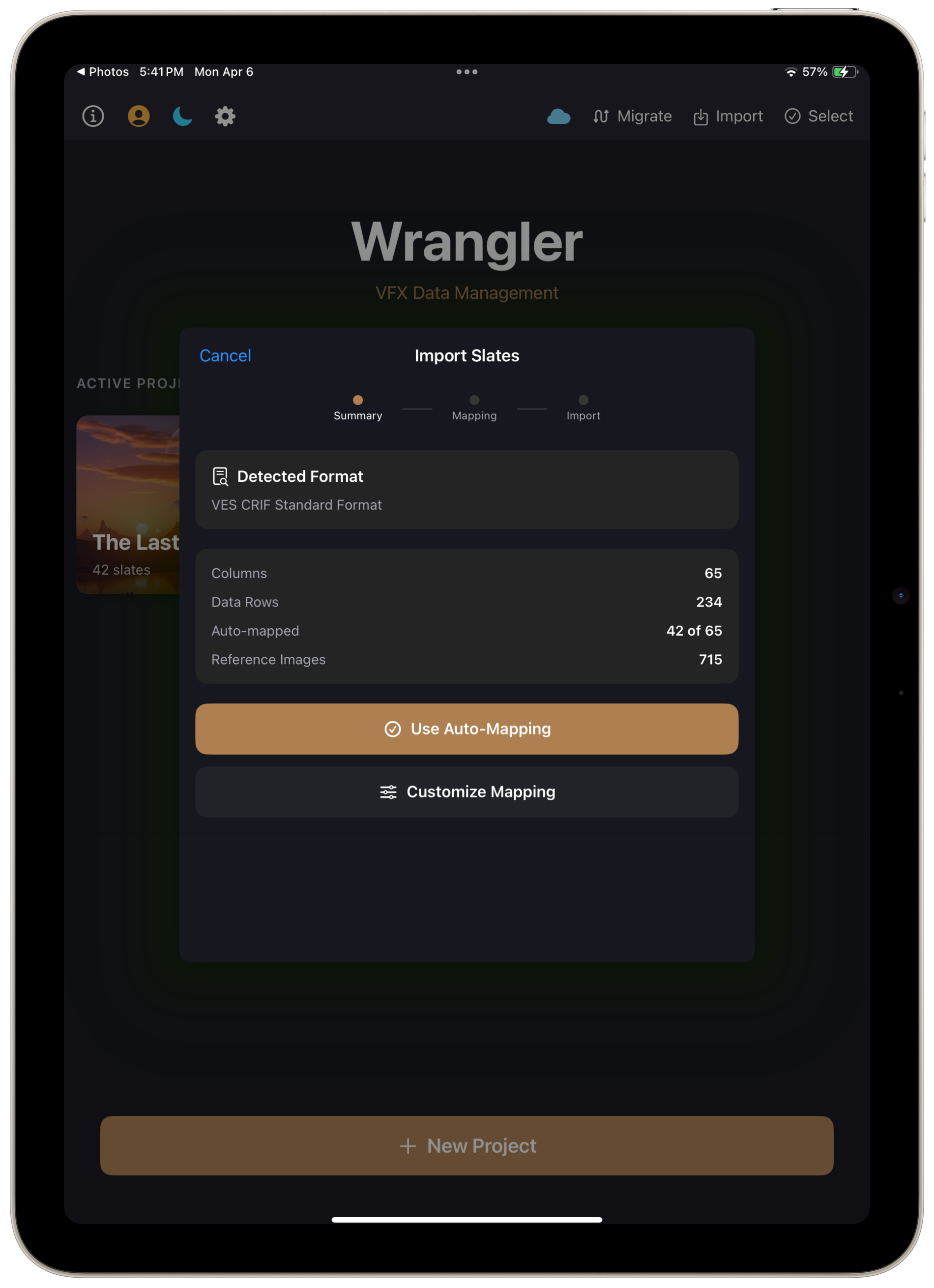 Import summary showing detected VES format, 65 columns, 234 data rows, and 715 reference images